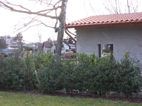 Pavillon 266.jpg   29kb   26.03.2021 22:35:25